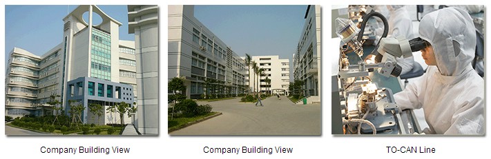 Shenzhen Wiitek Technology Co.,Ltd-Optical Transceiver Factory