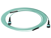 MPO / MTP Trunk Cable Assemblies with Splitter