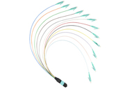 MPO / MTP Harness Cable Assemblies